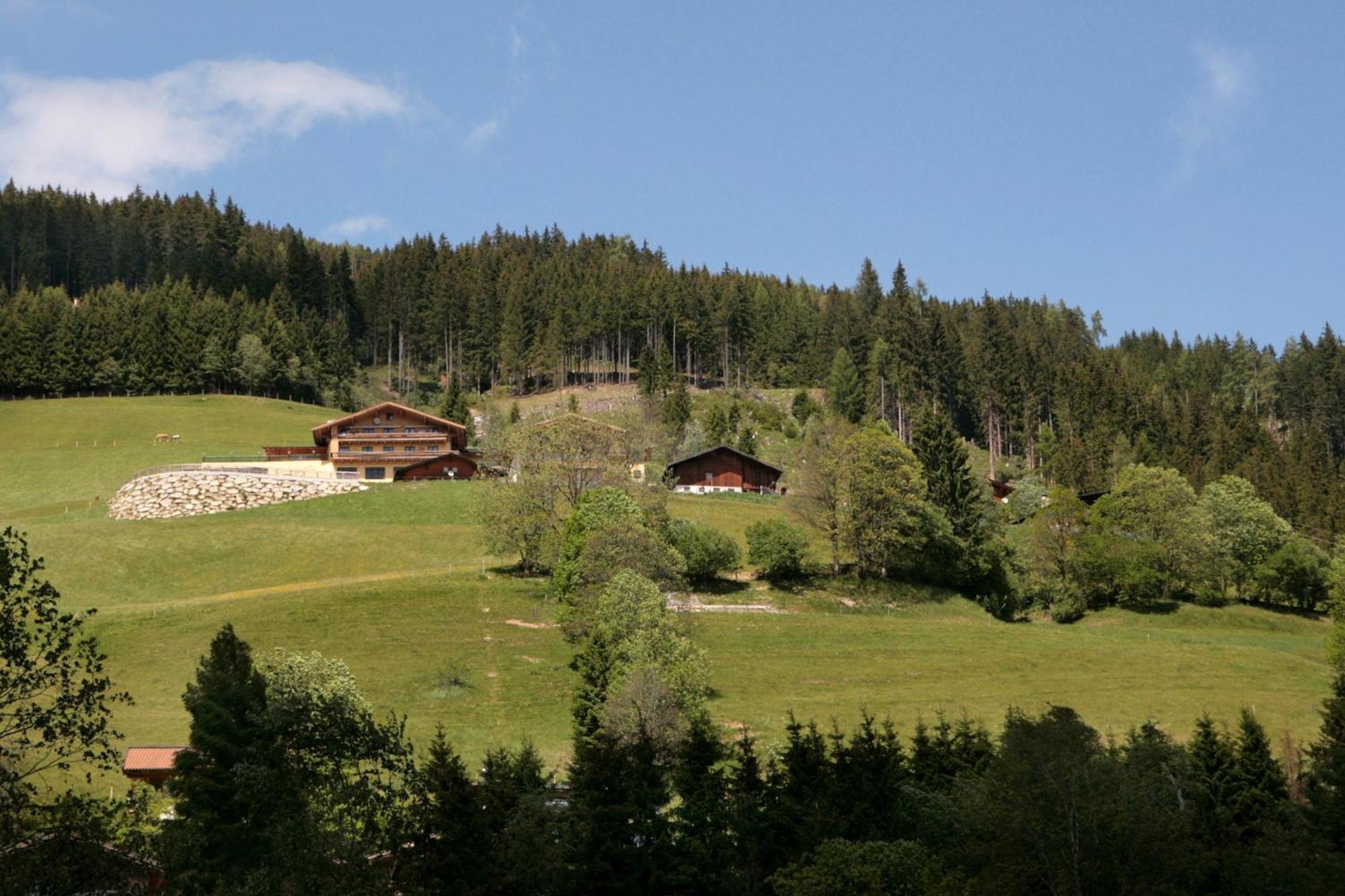 Апартаменти Der Wildbachhof - Contactless Check In Целль-ам-Зеє Екстер'єр фото